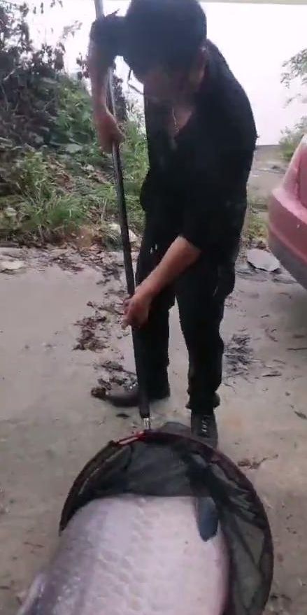 鱼王”鱼鳞比手掌还大网友：够吹一辈子冰球突破豪华版江西男子钓到120斤“(图4)