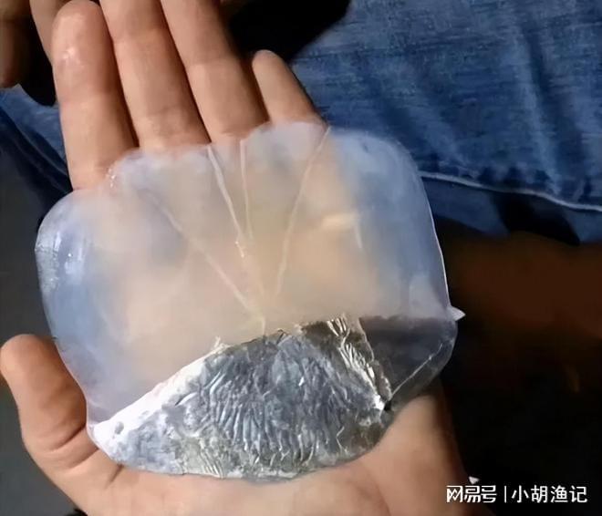 鱼王”鱼鳞比手掌还大网友：够吹一辈子冰球突破豪华版江西男子钓到120斤“(图9)