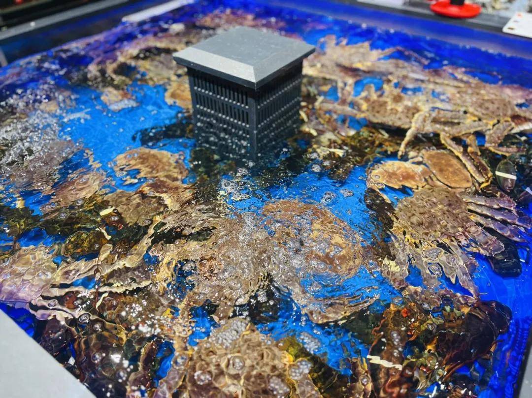 永辉超市盐城大有境店焕新开业冰球突破游戏双店联动盐南！