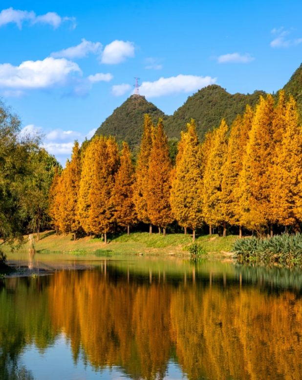 ｜邂逅冬日贵阳：一城烟火半山温润冰球突破游戏网站爽爽贵阳新十景(图2)